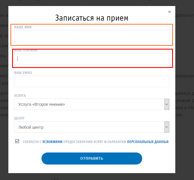 Пример из аудита: проблемные поля формы записи