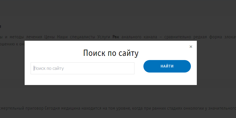 Пример из аудита: модальное окно поиска по сайту
