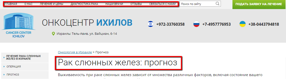 Изображение из отчета: структура меню и заголовок статьи oncocenter-ichilov.com