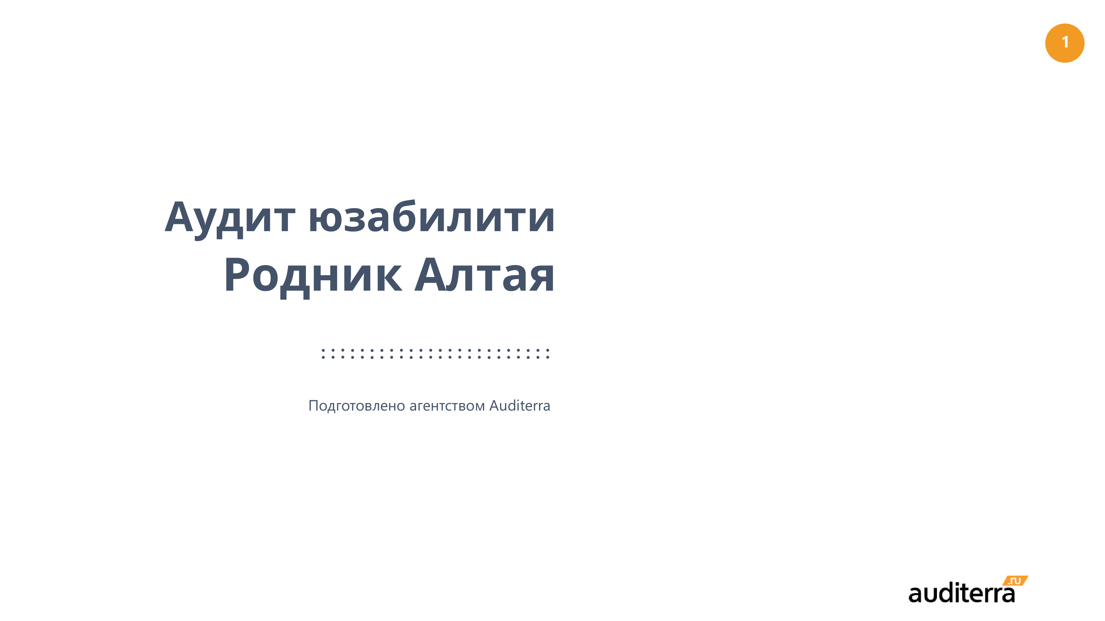 Обложка UX-аудита Родник Алтая